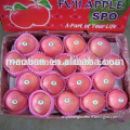 /msite/products/detail/productid/54855529/id/542998.html